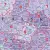 Europa kodów pocztowych - mapa ścienna, 1:4 500 000, ArtGlob