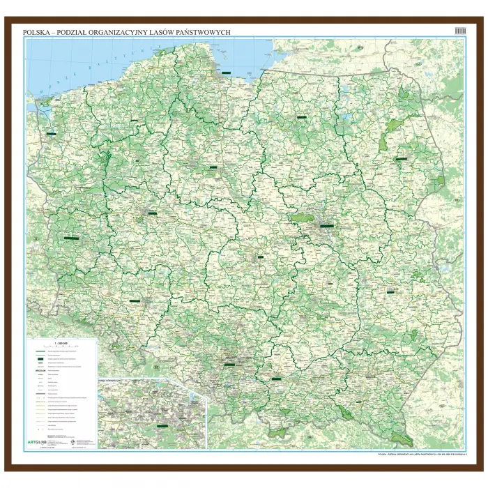 Polska - podział organizacyjny Lasów Państwowych - mapa ścienna, 1:500 000, ArtGlob